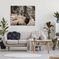 thumbnail image 3 of Stupell Industries Elk in Nature Photography Animals & Insects Photography Gallery Wrapped Canvas Art Print Wall Art, 48 x 36, 3 of 8