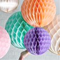 thumbnail image 3 of 5pcs 6inch Solid Color Tissue Paper Pompom Ball Hanging Wedding Party Decor, 3 of 5