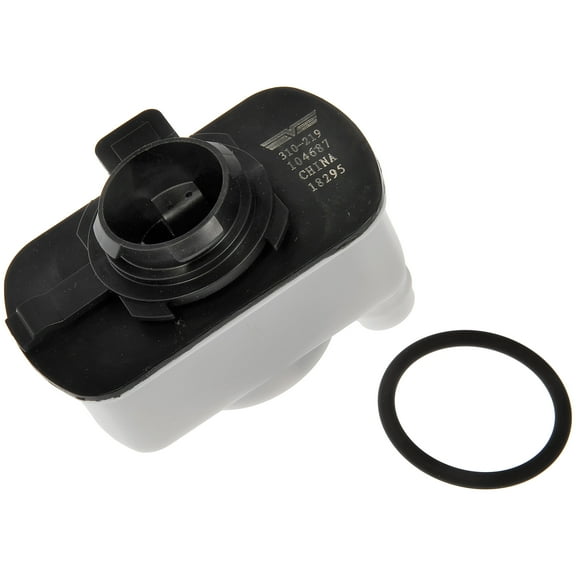 Dorman 310-219 Evaporative Emissions System Leak Detection Pump for Specific Models