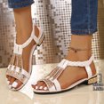 thumbnail image 2 of Low Heeled Sandals for Women Vintage Rhinestone Open Toe Elegant Dressy Party Prom Heels Elastic Ankle Strap White Size 8.5, 2 of 9