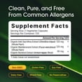 thumbnail image 2 of NatureBell 3-in-1 Sea Moss - 240 Vegetarian Capsules - Sea Moss Complex with Organic Bladderwrack & Organic Burdock Root - Healthy Digestion, Vitality & Immune Support - 120 Servings, 2 of 8