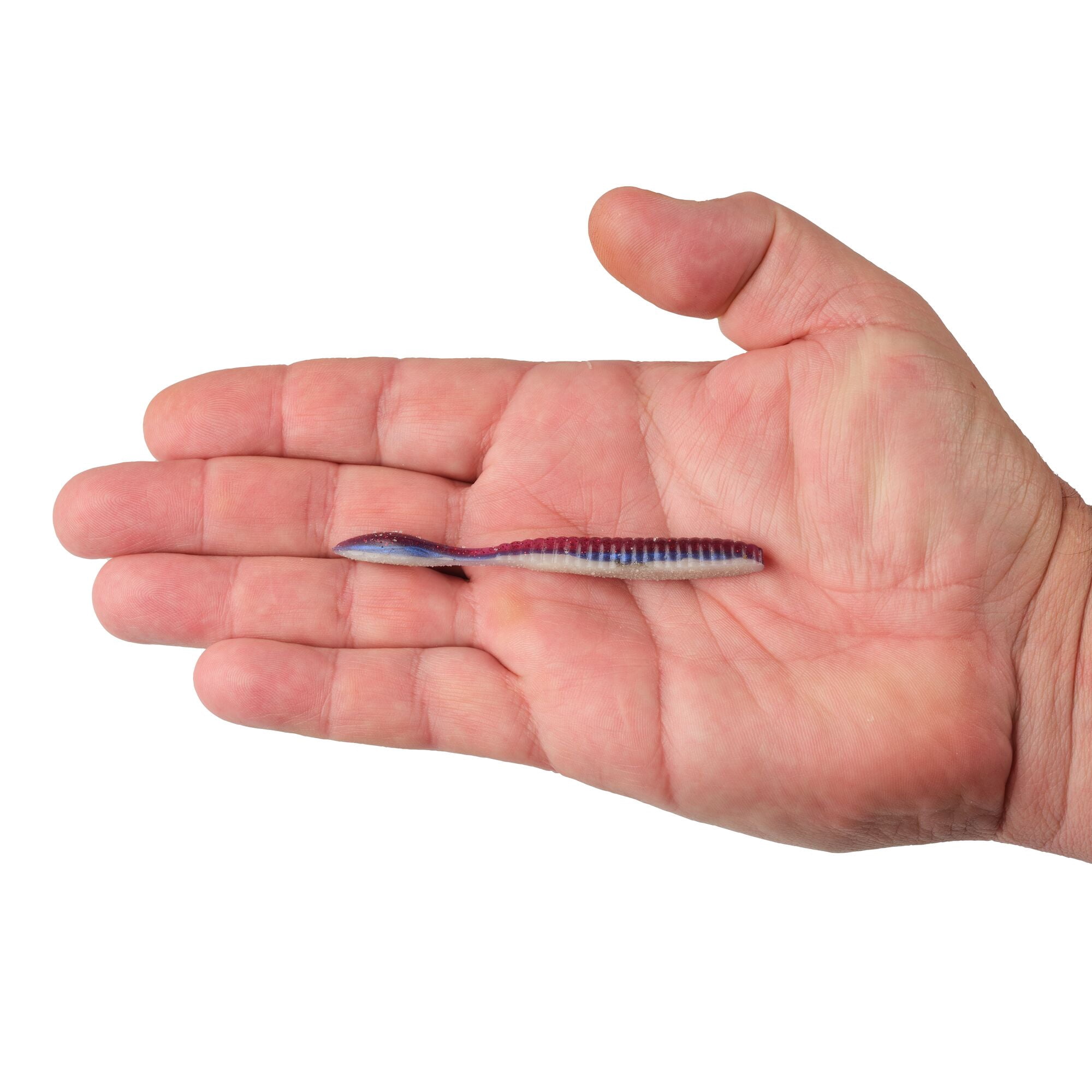 Berkley Lab Series™ Flat Worm, 3.6 in, Violet Morning Dawn
