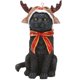 thumbnail image 1 of Cornamenta de Navidad decora gatos bufanda furry gatito árbol de vacaciones cuelga estatua de resina decorativa colgante, 1 of 5