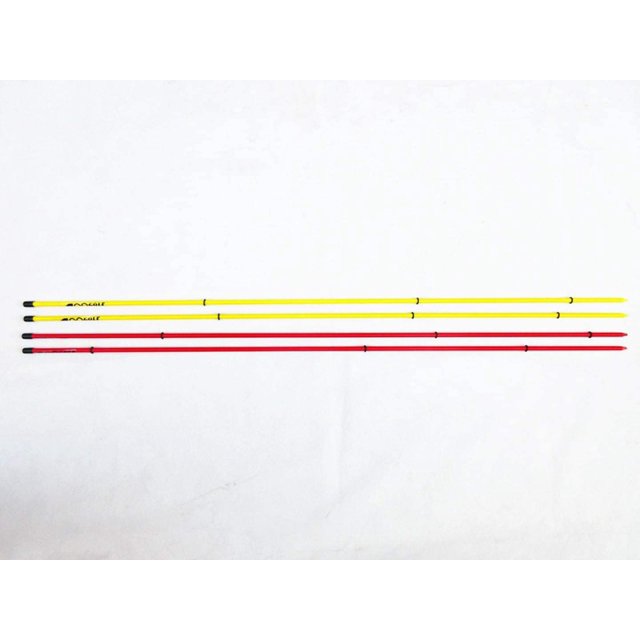 A99 Golf Alignment Sticks 2pairs - Golf Tour Stick Practice Rods to Set up Your Body Balls and Club in Perfect Alignment Posture Corrector with Clear Tube Case
