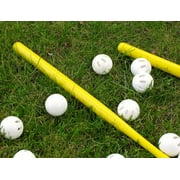 Wiffle Bat & Ball Set (32)