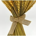 thumbnail image 2 of Bergamo Art Preserved Decorative Wheat Standing Topiary Plant in Gold, 2 of 5