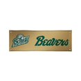 thumbnail image 1 of Victory VIC-810022BEM-003-IFS Bemidji State Castors NCAA Vinyl Banner, 2 x 6 Pi., 1 of 1