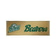 Victory VIC-810022BEM-003-IFS Bemidji State Castors NCAA Vinyl Banner, 2 x 6 Pi. – image 1 sur 1