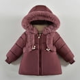thumbnail image 3 of Toddler Boys Girls Cute Coat Kids Winter Baby Hooded Soild Outwear Zipper Windproof Warm Thick Jackets For Boys Girls Size 18-24 Months, 3 of 4