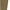 Beige, variant on High Waisted Workout Leggings for Women Tummy Control Buttery Soft Yoga Pants