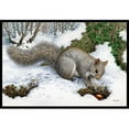 thumbnail image 1 of Carolines Treasures ASA2180JMAT Grey Squirrel Indoor or Outdoor Mat- 24 x 36, 1 of 4