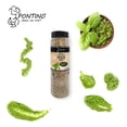 thumbnail image 5 of Pontino Pesto, 245 G, 5 of 5
