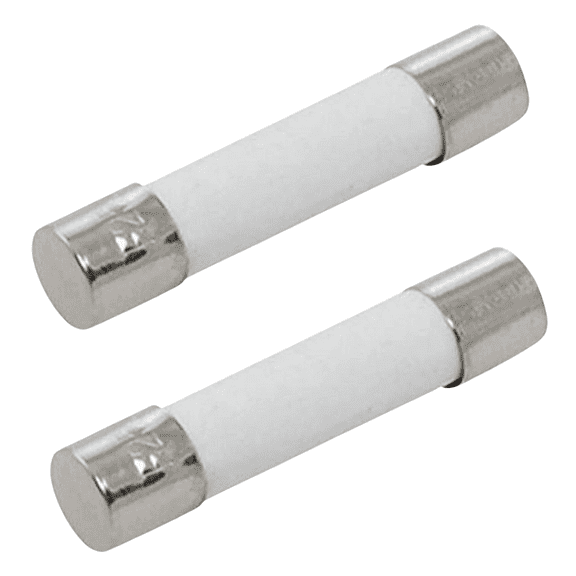 Scaroo 5304509451 Microwave Ovens Line Fuse AP6230606,PS12071294 2-Pack