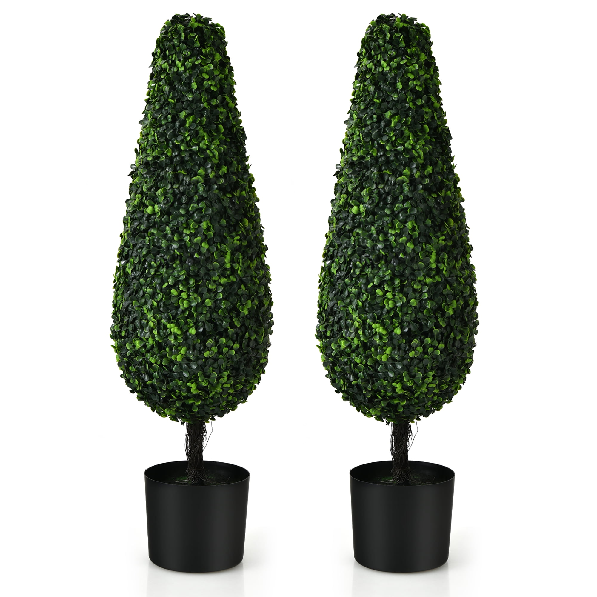 Boxwood Topiary