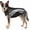 Black, Grey, variant on Helios Octane Softshell Neoprene Satin Reflective Dog Jacket w/ Blackshark technology