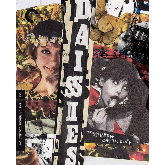 Daisies (Criterion Collection)