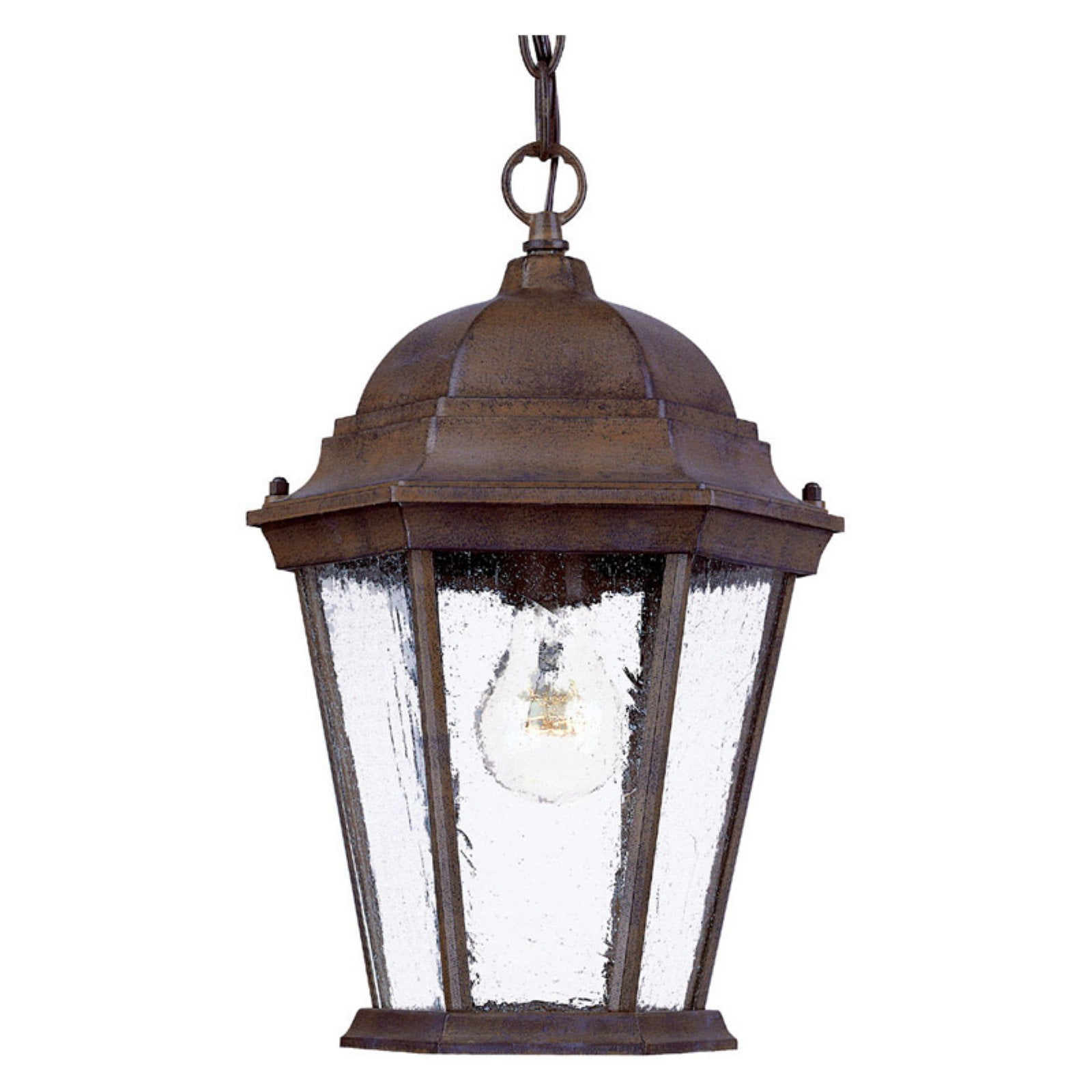 Acclaim Lighting Richmond Outdoor Hanging Lantern Light Fixture