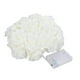 thumbnail image 5 of Guirnalda de luces LED decorativas con batería para San Valentín Blanco 3m, 5 of 9