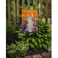 thumbnail image 2 of Carolines Treasures CK3186GF Ragamuffin Halloween Garden Size Flag, 2 of 3