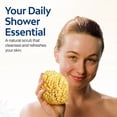 thumbnail image 4 of HartFelt Adult Sea Sponge Beauty Box, Gentle Exfoliation, 2 Yellow 4in Sponges with Mesh Bag, 4 of 11