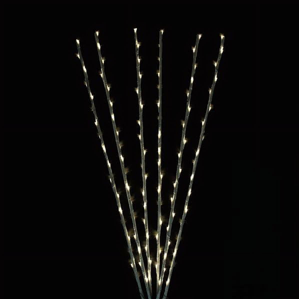 Northlight LED Lighted Branch Spray Outdoor Christmas Decoration - 72" - Set of 6