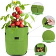 thumbnail image 4 of CJC 5 Pack Potato Grow Bags, 7 Gallon Vegetable Planter Containers, Fabric Planting Pots, Breathable Nonwoven Tomato Growing Gags, (Green), 4 of 15