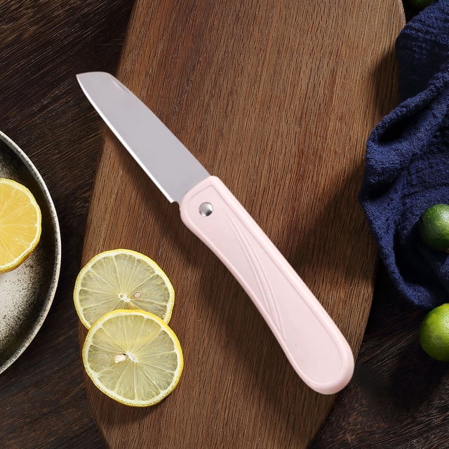 Cuchillo Plegable para Frutas, Cuchillo de Pelar de Acero Inoxidable con Mango de Plástico, Pelador y Cortador Portátil con Diseño Compacto, 10.2 x 2.2 x 1 cm para Camping y Picnics