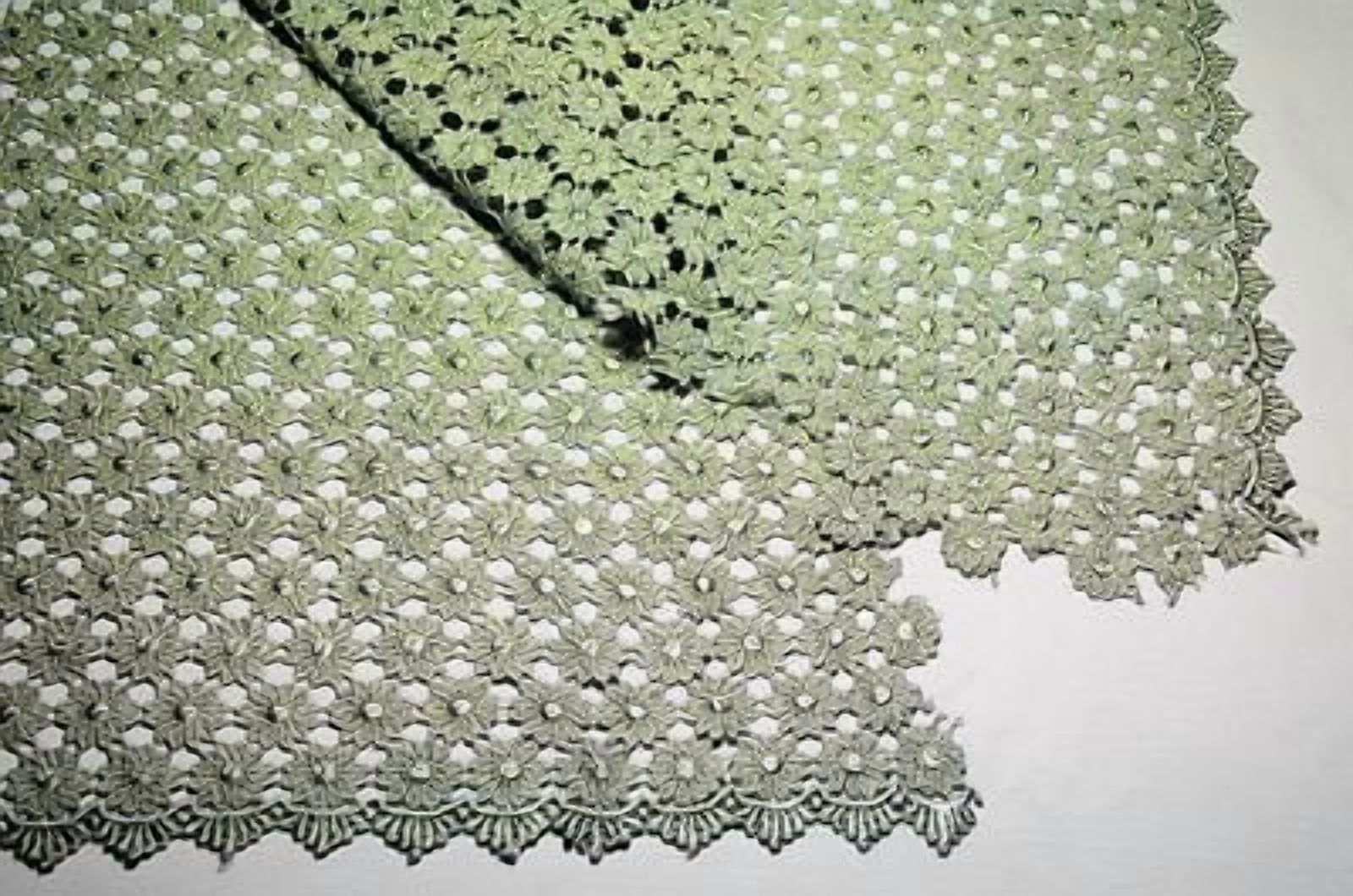 Lily 37" Daisy Venice Lace Fabric All Over Both Side Scalloped Edge 9 colors