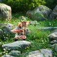 thumbnail image 5 of Fairy Garden Stake Decor, Acrylic 2D Fairy Elf Decor, Fairy with Magic Garden Stake Outdoor Garden Yard Lawn Decor, Outdoor Garden Fairy Statue Ornaments, 5 of 6