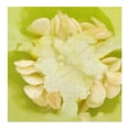 thumbnail image 4 of Chile Güero por kilo, 4 of 4