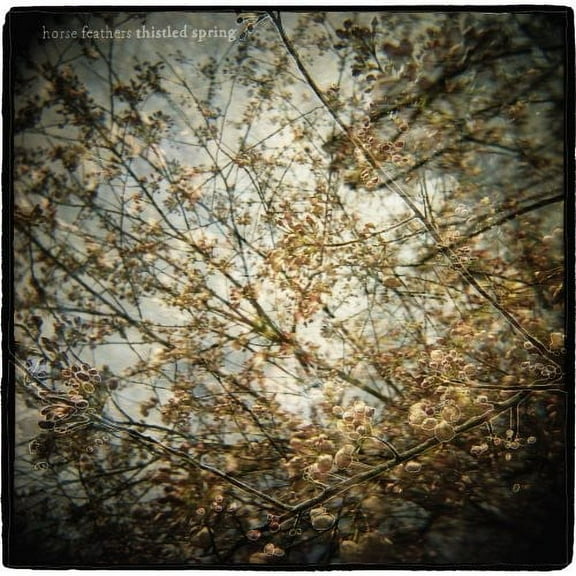 Horse Feathers - Thistled Spring - Alternative - CD
