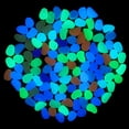 thumbnail image 1 of Cheers 10Pcs Glow in the Dark Pebbles Artificial Stone Walkway Aquarium Fish Tank Decor, 1 of 2