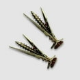 thumbnail image 4 of COMPUKAS 10Pcs Golden Metal Drywall Anchors Self Tapping Screws for Secure Fixing on Plasterboard Walls, 4 of 8