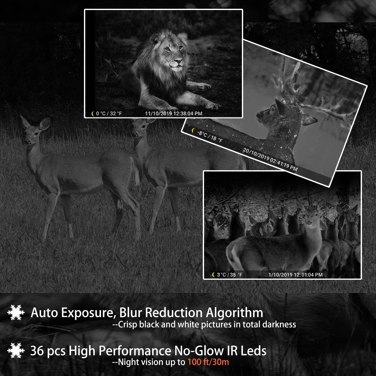 2-Pack No Glow Game & Deer Trail Cameras 24MP 1296P H.264 Video 100ft Night Vision Motion Activated 0.1S Trigger Speed Waterproof Farm & Yard Cameras for Home Surveillance & Outdoor Wildlife Hunting