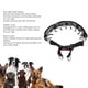 thumbnail image 4 of Collar De Entrenamiento Para Perros Con Puntas, Collar Duradero Ajustable Para Mascotas Para Entrenamiento, 4 of 7