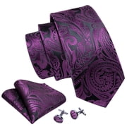 Barry.Wang Paisley Ties for Men Flower Silk Necktie Set with Handkerchief Cufflinks Wedding Party Business