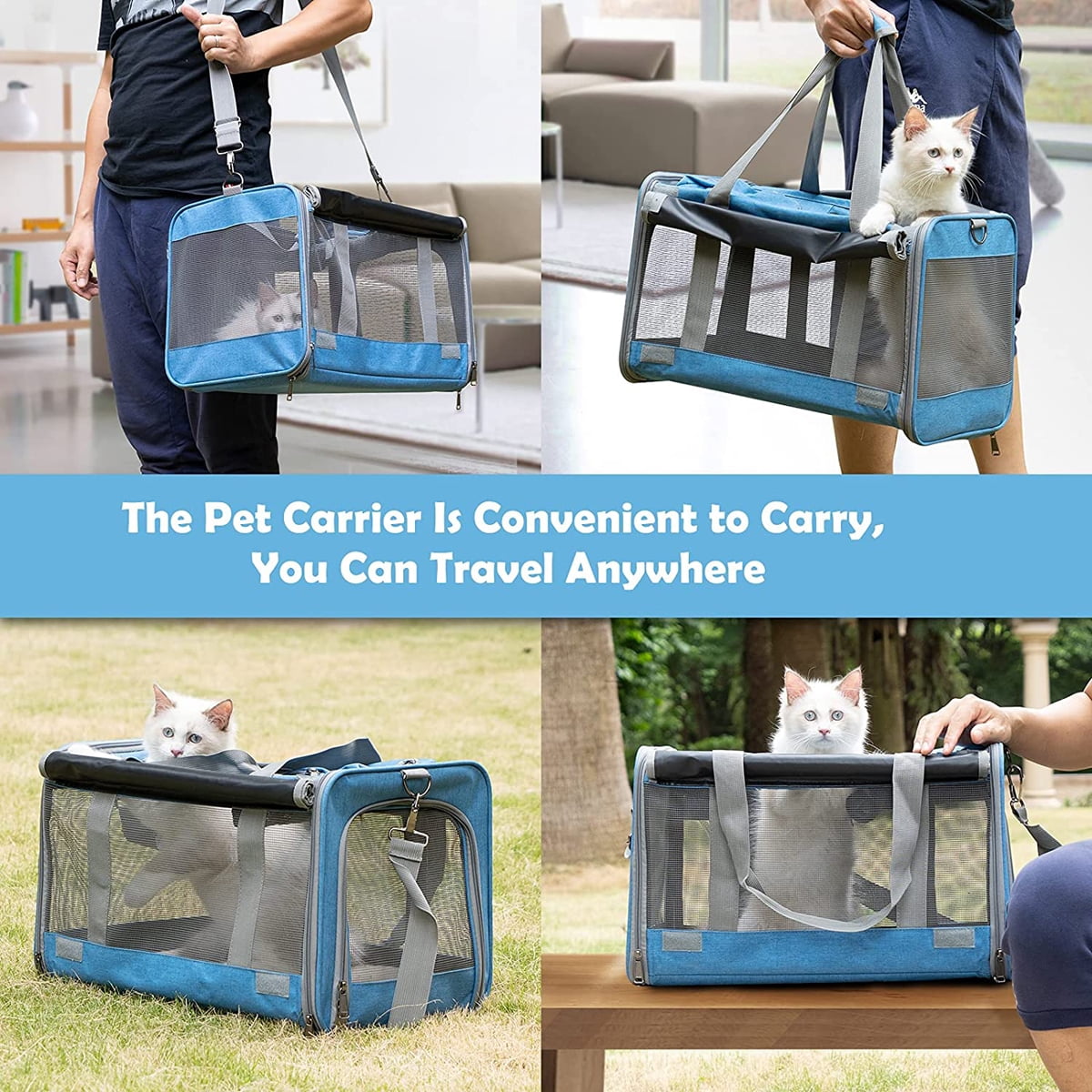 5 of the Best Cat Carriers for Large Cats » Cat Care Solutions