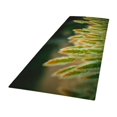 thumbnail image 4 of Alfombril para Rascador de zapatos Baoblaze 60x180cm, 4 of 7