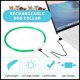 thumbnail image 3 of 4 Piezas Luces para Perros para Caminar Nocturno, Collares para Perros Iluminados, Collar para Mascotas LED Impermeable Ajustable Recargable por USB, Collar para Perros Iluminado de Segurida, 3 of 5