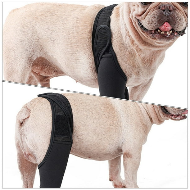 Dog Foreleg Brace Dog Leg Protector Dog Leg Cover Dog Leg Sleeve Dog Hindleg Sleeve Walmart Business Supplies