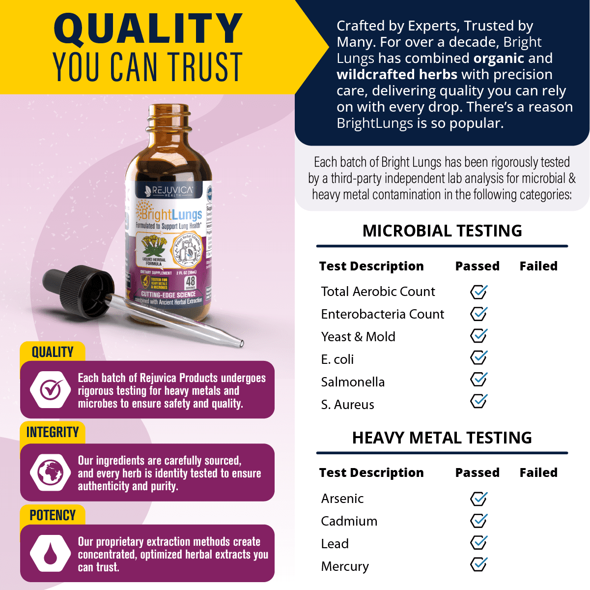 Rejuvica Health Bright Lungs 2 fl oz - Lung Detox Support Supplement - Grindelia, Lobelia, & More!