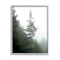 Stupell Industries Majestic Pine Foggy Forest Photograph Gray Framed Art Print Wall Art, Design by Debra Van Swearingen