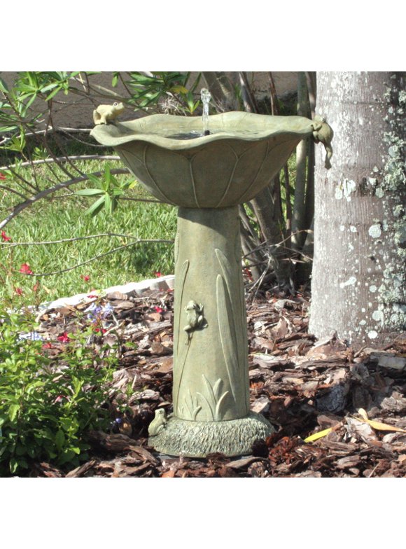 Bird Bath Fountains in Bird Baths