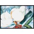 thumbnail image 1 of Carolines Treasures 8001MAT Fleur - Magnolia Tapis Intérieur Ou Extérieur - 18 x 27 Po., 1 of 4
