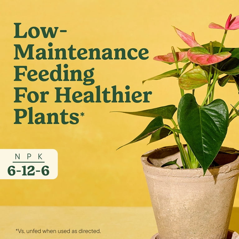 Miracle-Gro 48-Count Indoor Plant Food Spikes