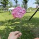thumbnail image 4 of Regalos de cumpleaños de clavel de flor de ganchillo artificial, para San Valentín, aniversario de boda, cumpleaños, regalos únicos para citas, 4 of 6