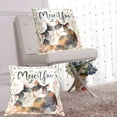 thumbnail image 6 of Warm Cat Paint Throw Pillow Covers 16x16 Inch 2 Packs Decorative Square for Living Room Couch Bed Sofa, 6 of 6