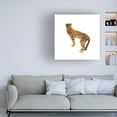 thumbnail image 3 of Annie Warren 'Golden Cheetah I' Canvas Art, 3 of 4