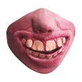 thumbnail image 1 of Funny Mask Big Lips Pet Funny Mask, 1 of 1