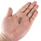 thumbnail image 2 of Conector giratorio de pesca Likrtyny 5 uds Para estrenar, 2 of 9